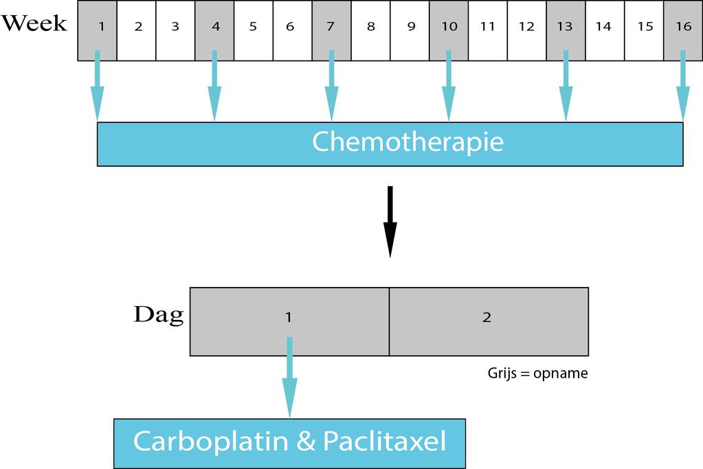 Behandelplan De chemotherapie behandeling die u gaat bestaat uit een combinatie van carboplatine en paclitaxel (Taxol ). Deze chemotherapie wordt per infuus gegeven.