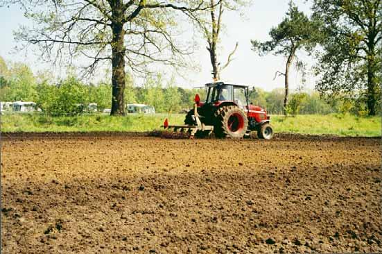 Op kleigrond ploegt men in de regel in het najaar en maakt men kort voor het zaaien een zaaibed vaak met een aangedreven eg. Hierdoor worden onkruiden die al zijn gekiemd bestreden.