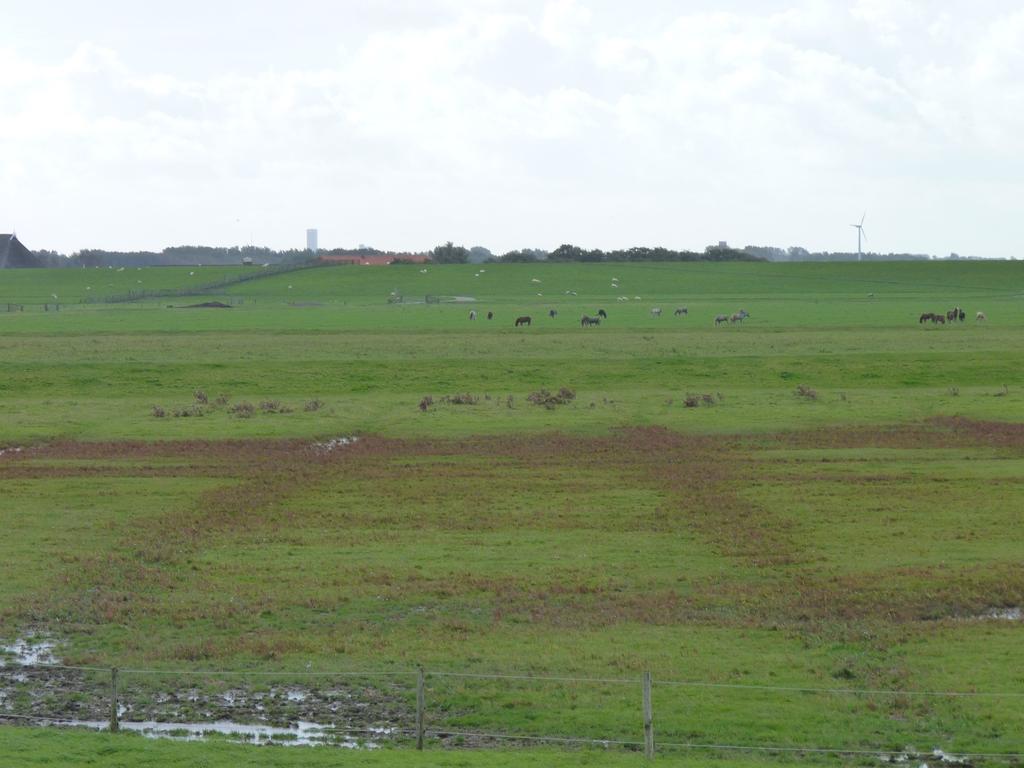 Noord-Friesland Buitendijks: op de voorgrond een verkwelderde zomerpolder, op de achtergrond de huidige zomerpolder.
