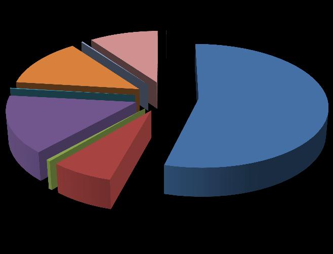 Gezinssamenstelling kandidaat-huurders Alleenstaande 0,20% 0,24% 12,91% 9,88% 0,05% Koppel Alleenstaande/koppel + bijwoner