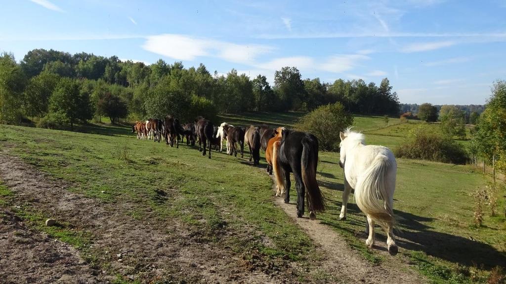 Maar als binnenkort Łukasz terug is, gaan we eerst weer volop aan het trainen.