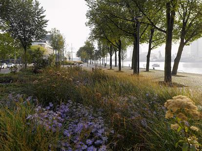 De riviercruises hebben met de boulevard een groene entree in de stad gekregen en de bewoners een groen venster op de Zaan.