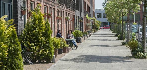 De Touwslagerstraat bestaat vooral uit achterkanten, dat maakt het tot een straat waar je liever niet komt.