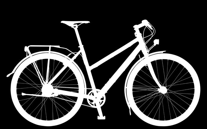 Het veelgeprezen rijgedrag dankt de fiets onder meer aan de speciale geometrie, de onderhoudsarme Rohloff 14-versnellingsnaaf,