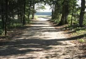 Een agrarische weg met een smal profiel en aan beide zijden grasberm met een bomenrij. Het pad wordt voorzien van een materiaal passend in het landschap.