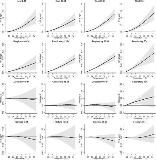 Morbiditeit Mortaliteit van Loenhout et al.