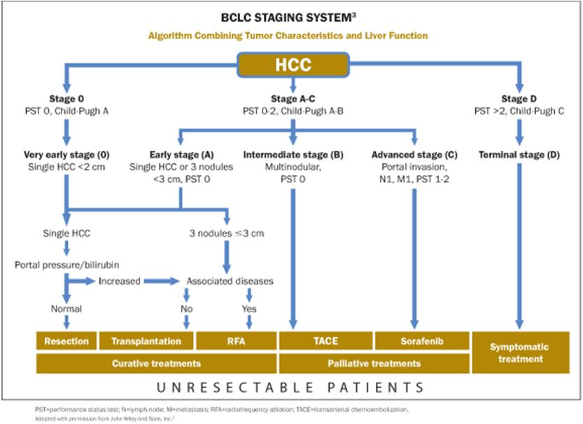 HCC Barcelona Clinic Liver Cancer stroomdiagram voor HCC bij cirrhose HCC Prognose: Zonder cirrhose en radicale resectie 5 jaarsoverleving >70% Regelmatig