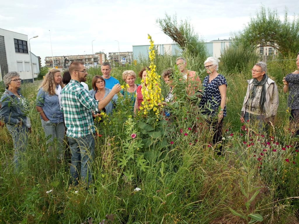 GROEN DOET GOED Middels het programma Groen doet Goed werkt Groenkracht er middels de Proeftuin aan mee om verstedelijkte kinderen te (blijven) verleiden en uitdagen om het groen en de natuur in en