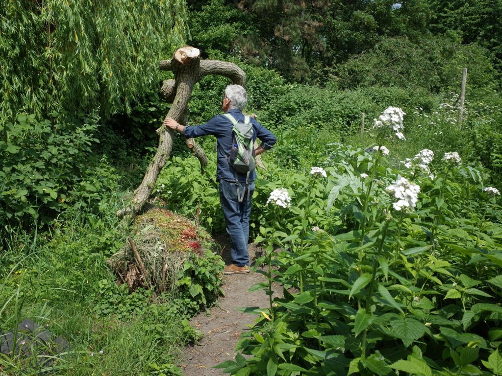 ACTIVITEITEN Op 10 maart 2016 deed Groenkracht mee aan NLdoet op de Proeftuin.