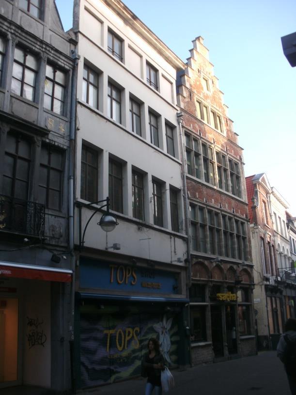 Wat staat er geschreven in het boek over dit huis Bouwen door de eeuwen heen in Vlaanderen, Stad Gent.