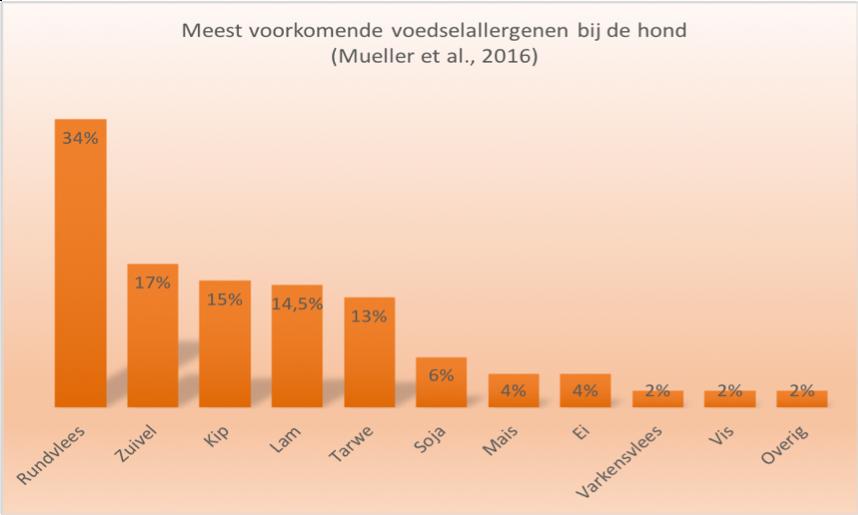 Granen zijn belangrijke bron van allergie bij honden en katten Granen zijn belangrijke