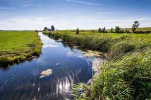 Het fonds wordt gevoed door het Rijk, andere overheden, banken en verzekeraars. In 2018 neemt de provincie in overleg met de betrokken gemeenten een besluit over deelname aan dit fonds.