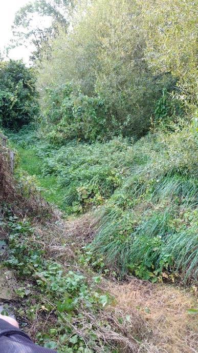 Foto s zijn genomen vanuit de vlindertuin, achter de woningen H.R.