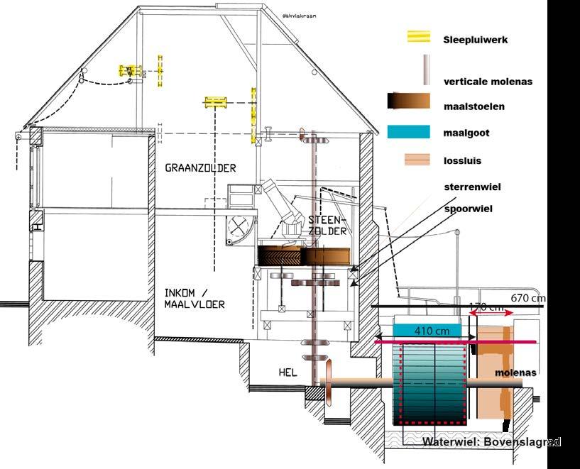 Dwarsdoorsnede Bekijk het overzicht van de molen. Kun jij alle woorden op de juiste plaats zetten?