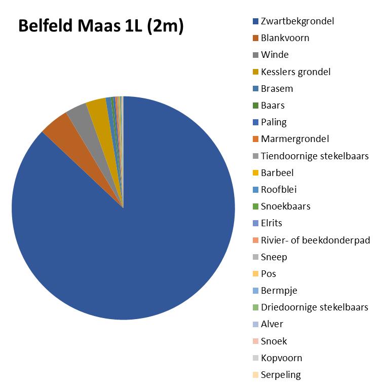Maas, Belfeld 4L/2M: 24 soorten