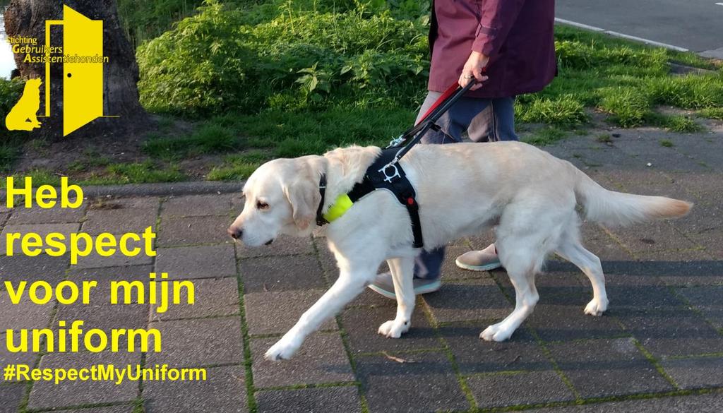 Voorlichting via sociale media Stichting Gebruikers Assistentiehonden is op het gebied van sociale media redelijk goed actief. Op Facebook en Twitter is met groot succes een foto-actie gestart.