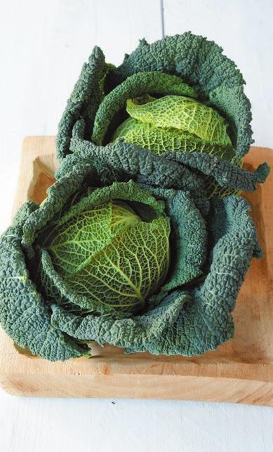 Broccoli herkomst: