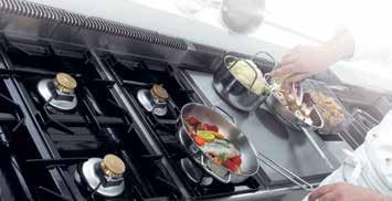 BAK- KOOKAPPARATUUR / APPARATUUR Gastro-M 700 plus serie De 700 plus serie van Gastro-M omvat een compleet programma die elke wens in de professionele keuken vervult.