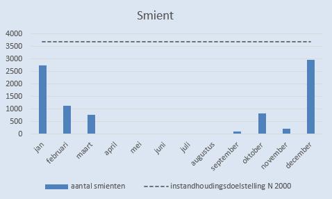 grafiek 4. aantal Smienten tijdens de maandelijkse watervogeltellingen in 2015 Slobeend In de boezems van Kinderdijk was, net als in 2014, slechts 1 territoria van de Slobeend.