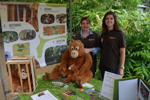 Vrijwilligers Orangutan Rescue werkt met samen met twee categorieën vrijwilligers: Fondsenwerving en voorlichting Projecten (in Nederland of Indonesië) Fondsenwerving en voorlichting Orangutan Rescue