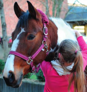 Ponyclub ~ Hoves BELGIË Ontdek het plezier van de paardensport vanaf de initiatie