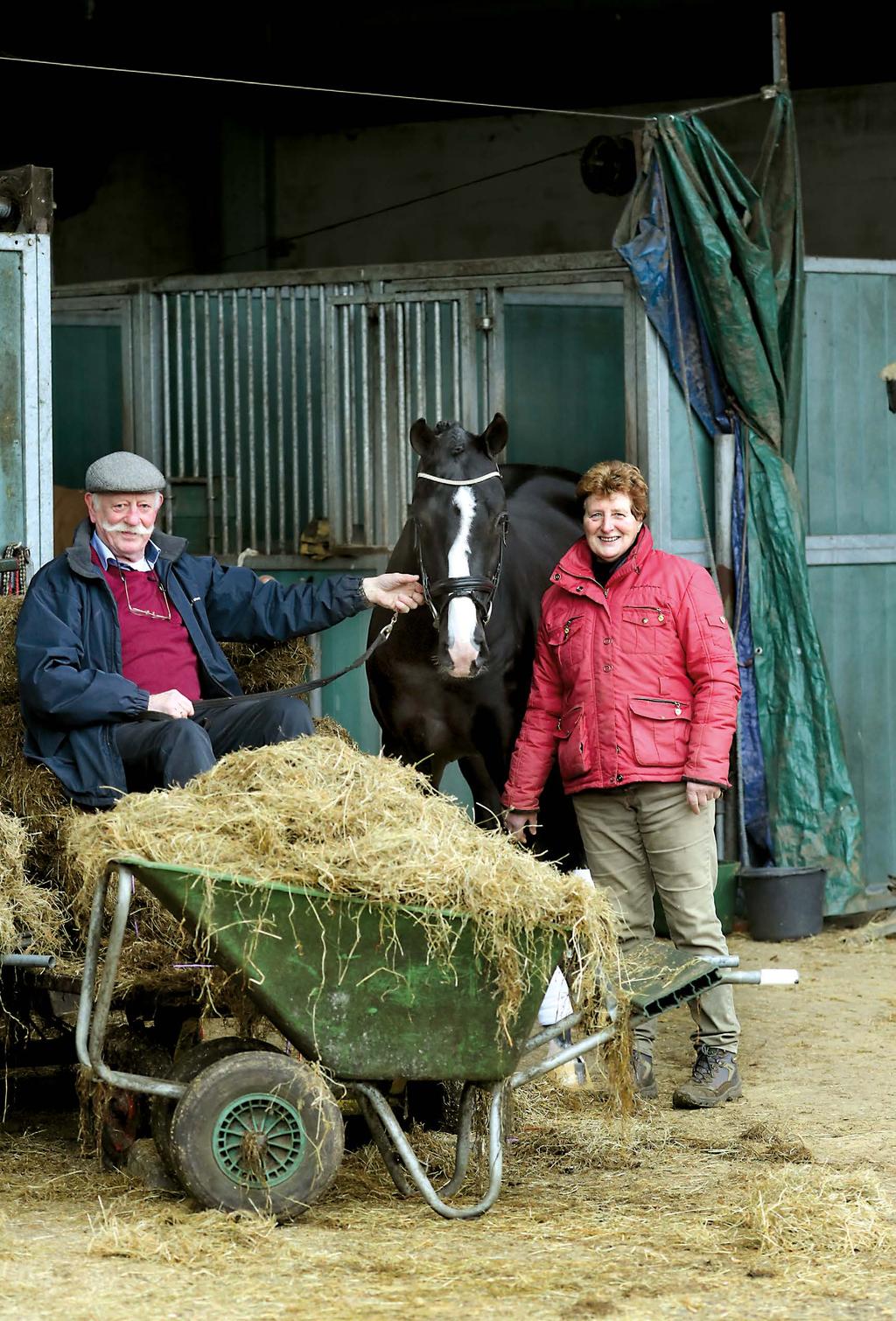 Gerrit en zijn vrouw Dora delen de liefde voor paarden. Hier met de goedgekeurde hengst Ibsen B.