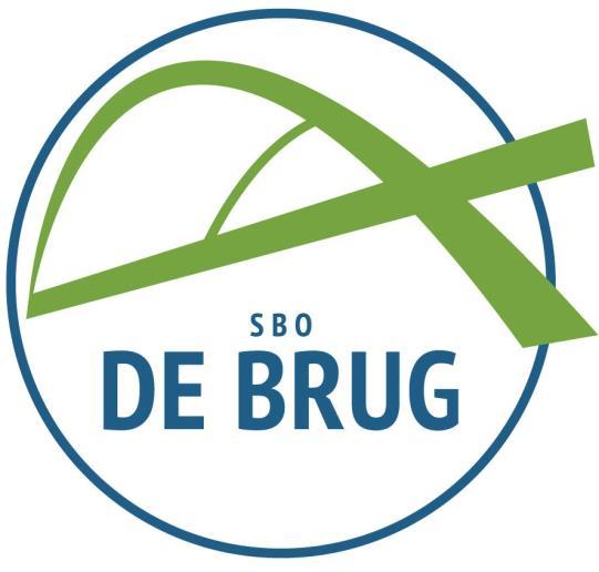 NIEUWSBRIEF DE BRUG Inhoud: Nieuwjaar Team Rapport Vakantiebijbelweek Kalender januari Kalender februari