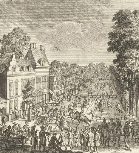 2. Geschiedenis van Dreef en Houtplein in een notendop Dreef en Hout - sinds de Gouden Eeuw de trots van Haarlem De geschiedenis van de Dreef begint met de geschiedenis van de Hout als stadsbos.