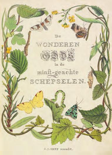 Samen struinden zij de omgeving van Amsterdam af op zoek naar eieren, rupsen, poppen en vlinders. Thuis probeerden ze de dieren in leven te houden in glazen potten op zolder.