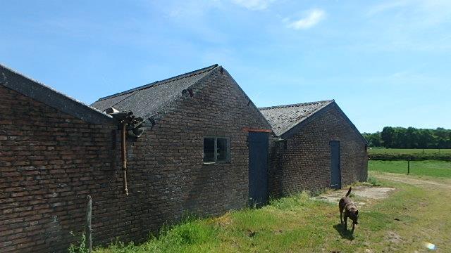 Bronnummer 5 Bron Vormstukken/ nokstukken Monsternummer Visueel identiek aan M3 Certificaatnummer M3, (A100911-003) Locatie Stal 2, tussen schuur 1 en 2 Materiaal Vormstukken/ nokstukken