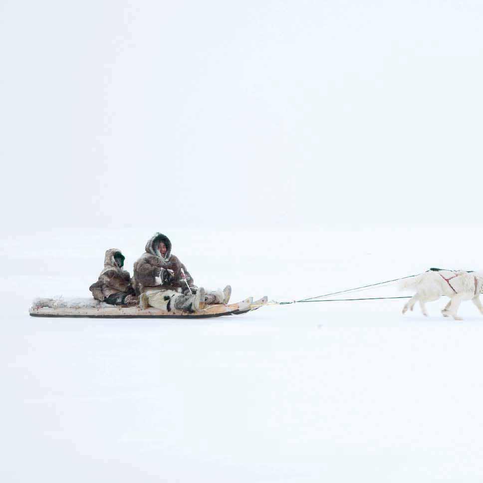 Met de hondenslee over het ijs GEEN AUTO S In grote steden gebruiken mensen auto s om van het ene dorp naar het andere te komen, maar daar heb je op de Noordpool niet zoveel aan.