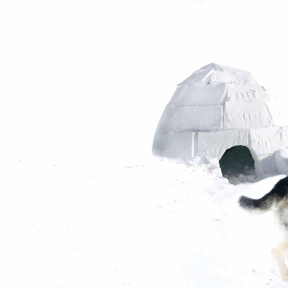 OVERLEVEN TUSSEN HET SMELTENDE IJS... Welkom op de JEMERY UKUQTUNNUAQ (10 jaar) is een eskimo en woont op de noordpool. Zijn dorp heet Gjoa Haven. Hij woont er samen met duizend andere eskimo s.