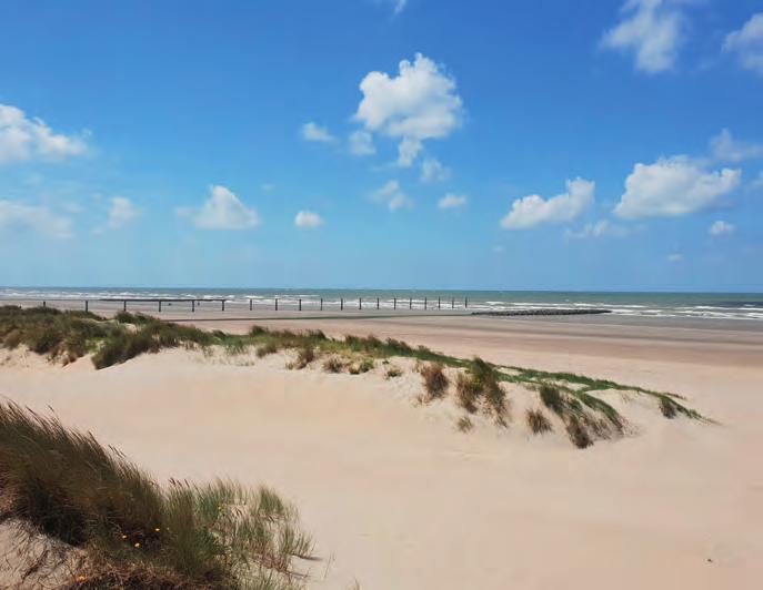 Het nabijgelegen Nieuwpoort biedt u allerlei attracties: een prachtig strand, een uitgestrekte dijk en een leuke winkelstraat.