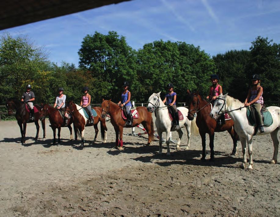 en het materiaal ~ paardenspan ~ één keer zwemmen in Enghien.