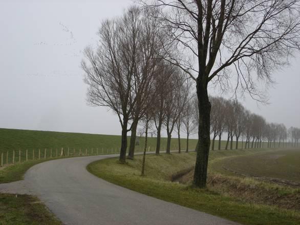 In tegenstelling tot het westelijk deel van de Spuidijk Piershil is hier een binnenberm aanwezig waar een weg op ligt.