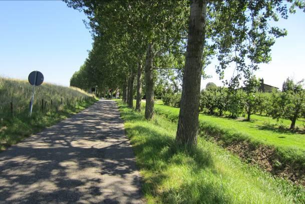 Langs de provinciale weg is gebleken dat een verflauwing van het buitentalud niet nodig is waardoor de asverschuiving naar binnen achterwege kan blijven.