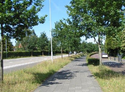 4. 1 Stadsgroenstructuur Naarden 4.1.1 Stadskarakteristiek De gemeente Naarden ligt samen met de kern Bussum als stedenbouwkundige kern in een landschap van polders, moerassen en plassen en de kustzone van de voormalige Zuiderzee.