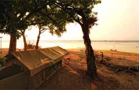 De safari activiteiten omvatten game drives in open 4WD waarbij men een gegarandeerde raamstoel krijgt en wandelsafari s.