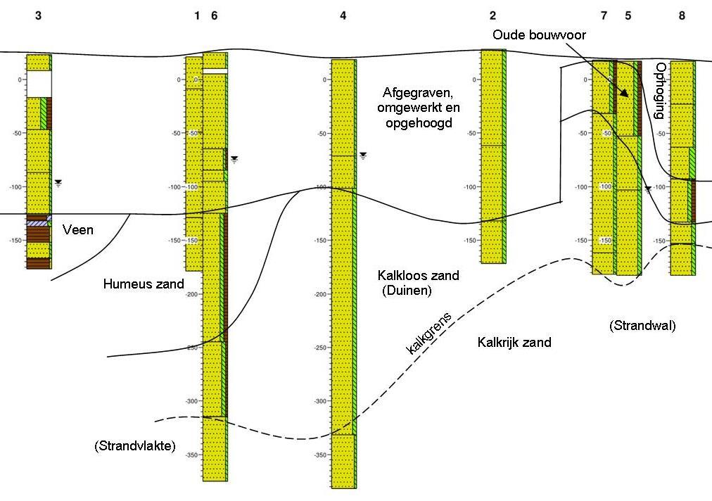 (Duinen op de strandwal) Figuur 8: Schematische doorsnede van de ondergrond op basis van de boringen. 3.3.3. Archeologische indicatoren In de boringen zijn geen archeologische indicatoren aangetroffen.