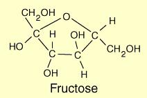 Fructose = vruchtensuiker