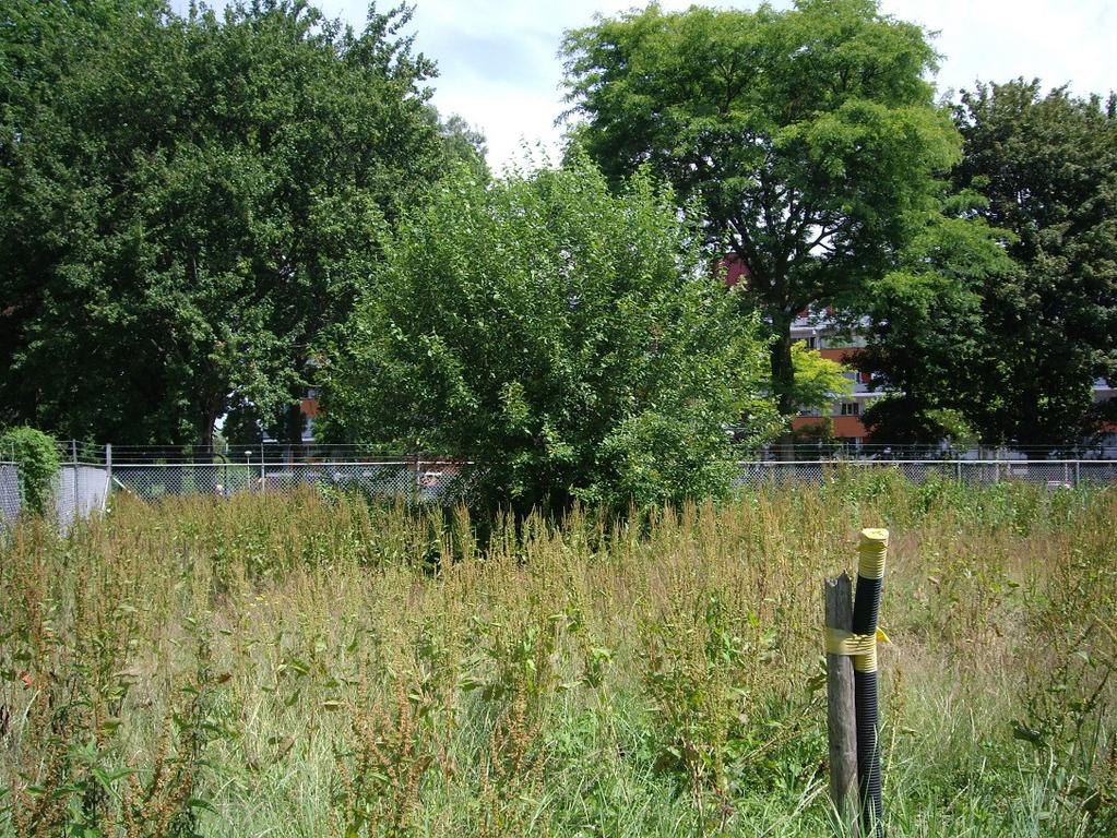 Ecologische quickscan, Uitbreiding 50kV Station Walburg, Zwijndrecht