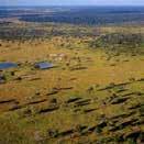 5000 km² is in drie regio's verdeeld en heeft zeer variërende landschappen zoals de uitgestrekte savannes, Kalahari zand, mopane bossen, rivierbeddingen en granieten heuvels.