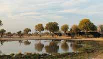 Ivory Lodge is gesitueerd in een groot privé reservaat nét aan de grens van het Hwange National Park.