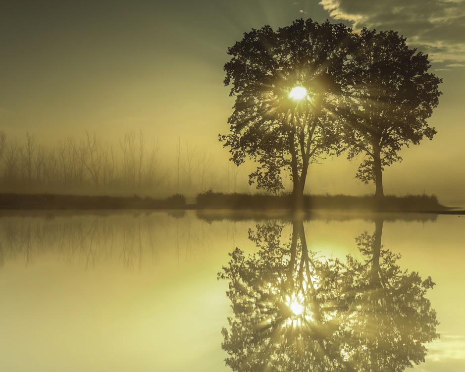 Landschap Overijssel beschermt, beheert en ontwikkelt het landschap met kwaliteit voor mens, plant en dier zodat het er goed leven is.