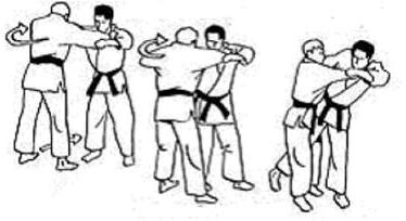 Nage-no-kata uitvoeren als tori en uke Te-waza: Uki-otoshi Te-waza: Ippon-seoi-nage Te-waza: Kata-guruma Koshi-waza: Uki-goshi