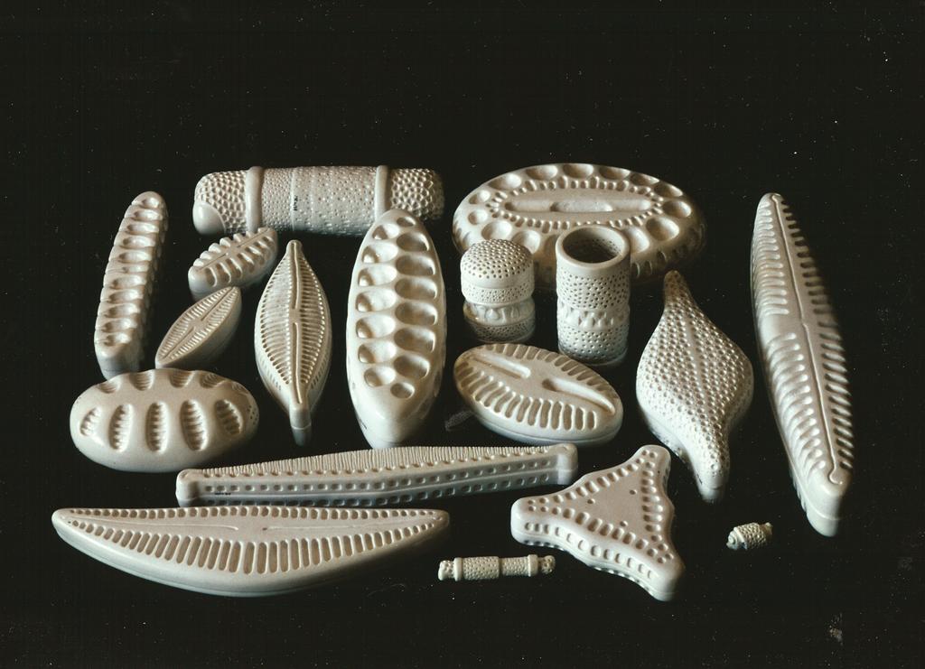 ii Fig 9. Modellen van kiezelwieren Uit zachte steen gesneden, enigszins geabstraheerde modellen van enkele soorten kiezelwieren. Foto: Manfred Rumrich.