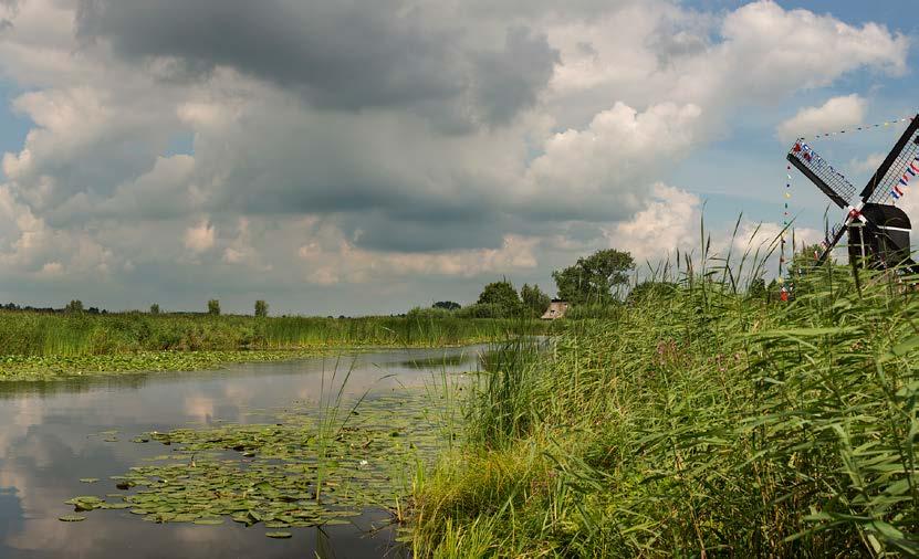 De gemeente Zederik staat symbool voor water, groen, rust en ruimte: een oer-hollands landschap en het échte dorpsgevoel.