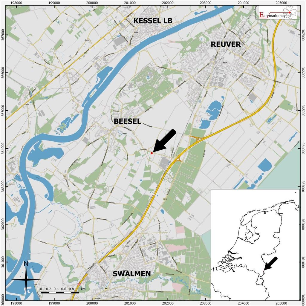 Figuur 1. Situering van het plangebied binnen Nederland Bussereindseweg 36 te Beesel.