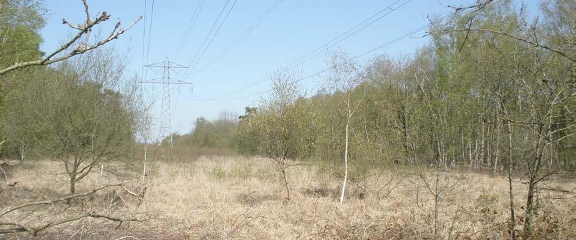 De lijn wordt daarmee meer vanzelfsprekend in het landschap opgenomen.