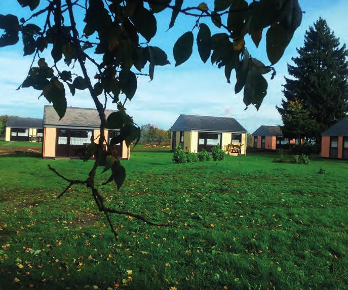 Vakantiecentrum Senonchamps ~ Ardennen Gezellig en kindvriendelijk familiecentrum gelegen in een streek die geregistreerd staat als buitengewoon erfgoed van Wallonië.